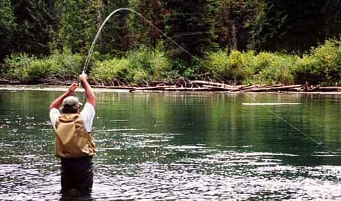 Alaska Salmon Fishing Guide