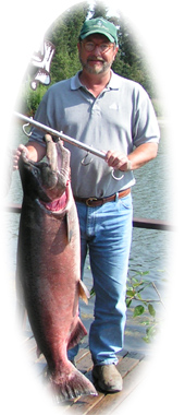 King (Chinook) Salmon